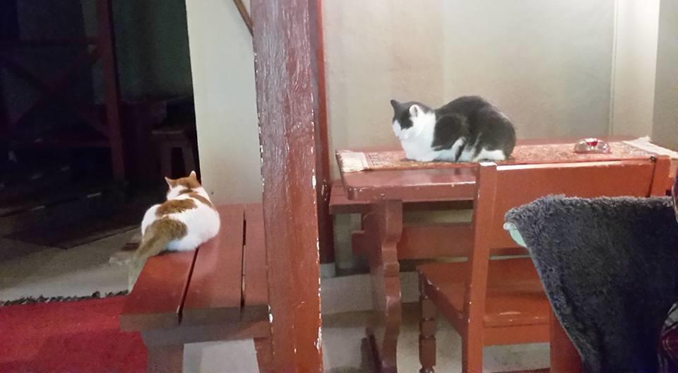 Hostel Panget Dragsfjärd Dış mekan fotoğraf